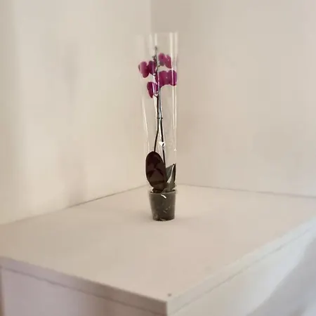 Prázdninový dům Casa Orchidea *