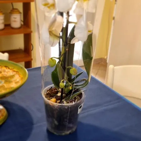 Semesterbostad Casa Orchidea